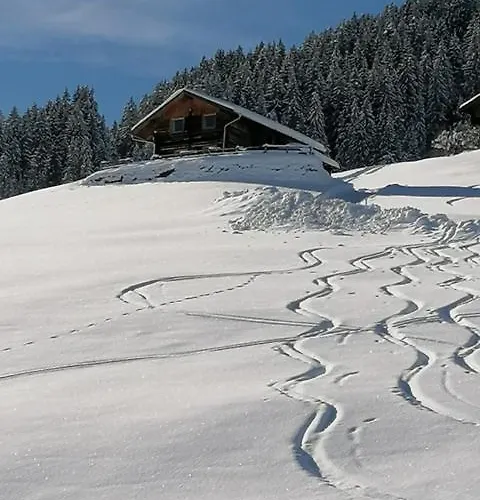 Дом отдыха Ferienhuette Georg Хиппах